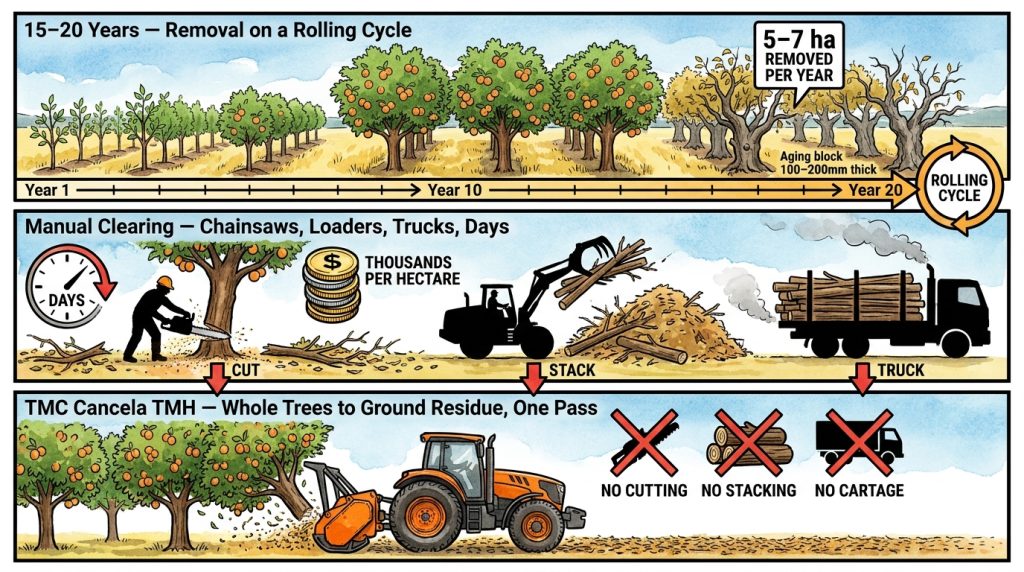 Apricot Lifecycle Removal L