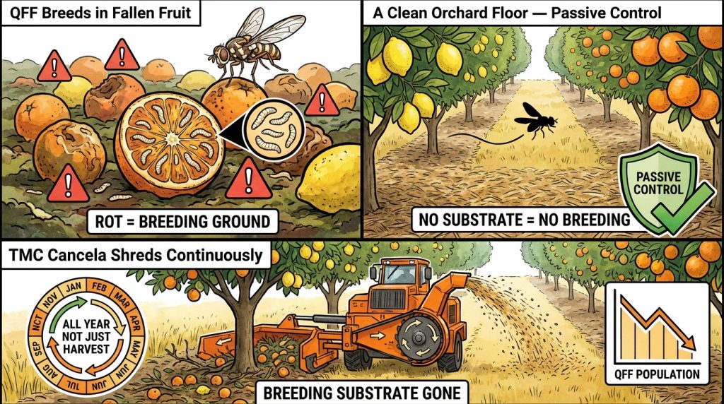 Citrus Fruit Fly Biosecurity L