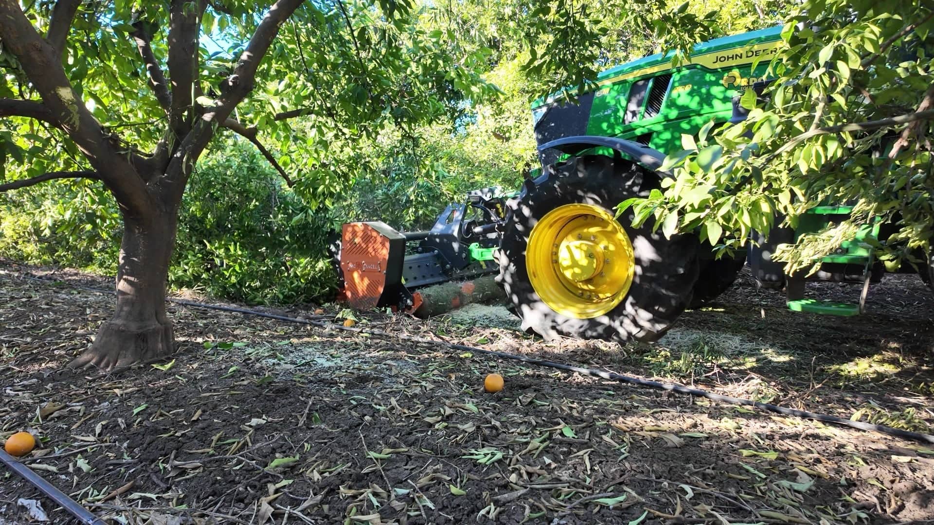 DJI 20000222201052 0082 D - frame at 0m3s