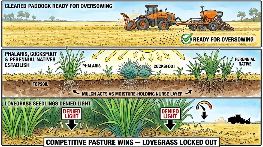 Love Grass Mulch Oversow R
