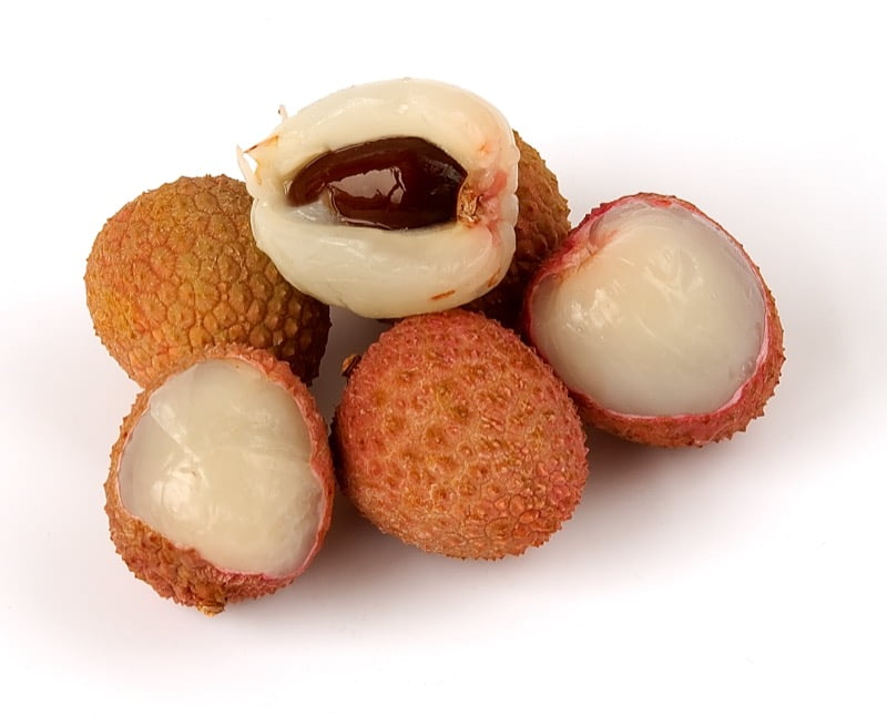 Lychee Tree