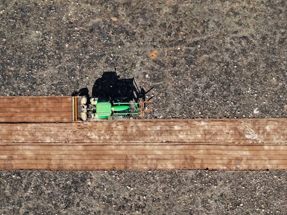 Green TMC CANCELA mulcher machine attached to tractor, mulching vegetation on rocky ground. Mulcher head is engaged with ground, pulverizing brush and small trees into fine mulch. Tractor and mulcher are positioned on graded dirt path with stone retaining wall visible.