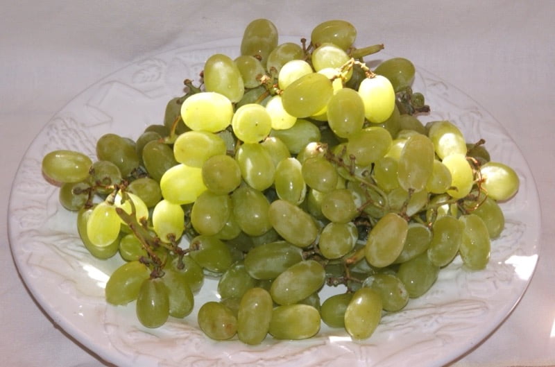 Table Grape