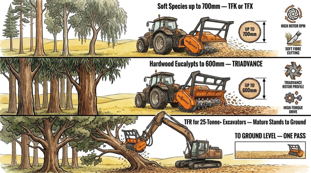 Tree Match Rotor to Wood L