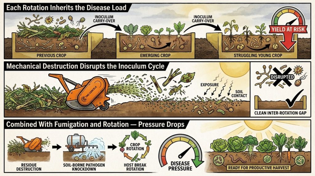 Vegetable Disease Pressure R